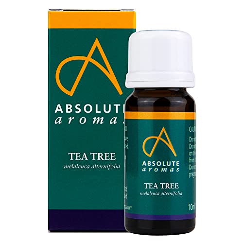 Absolute Aromas Tea Tree Etherische Olie 10 ml - 100% Puur, Natuurlijk, Onverdund, Dierproefvrij en Vegan – voor Aromatherapie, Diffusers, Gezicht-, Haar-, Huid- en Nagelverzorging