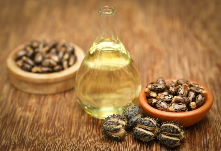 castor oil and seeds 
